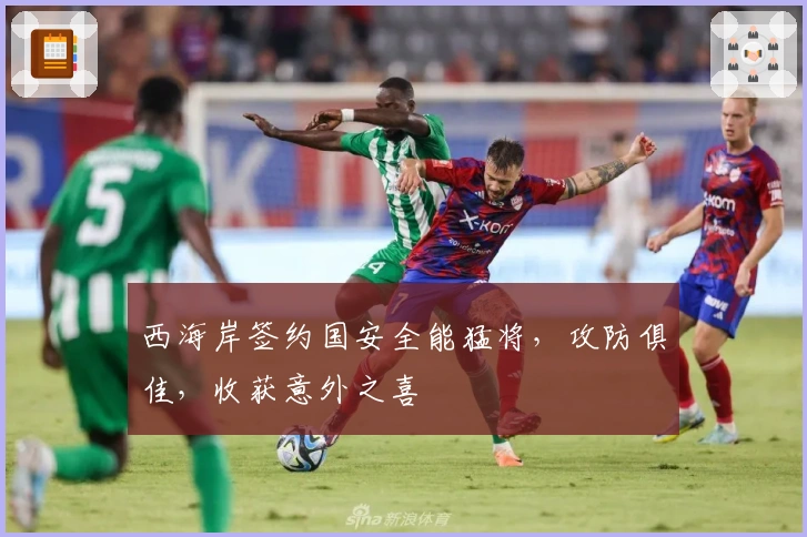 西海岸签约国安全能猛将，攻防俱佳，收获意外之喜