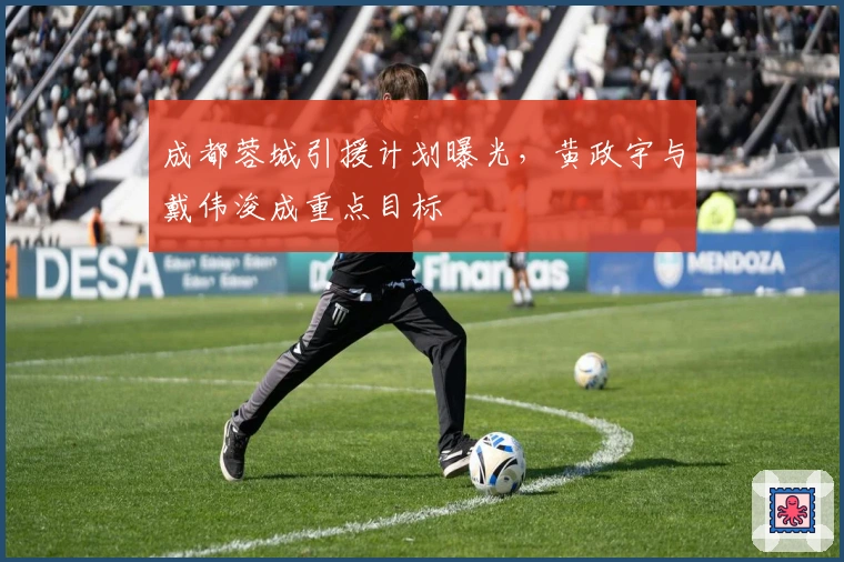 成都蓉城引援计划曝光，黄政宇与戴伟浚成重点目标