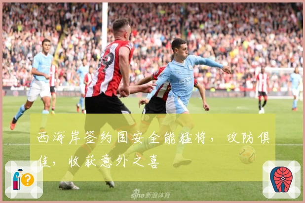 西海岸签约国安全能猛将，攻防俱佳，收获意外之喜